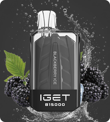 IGET POWER B15000