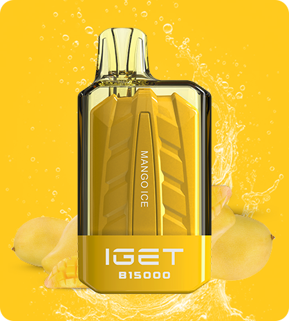 IGET POWER B15000