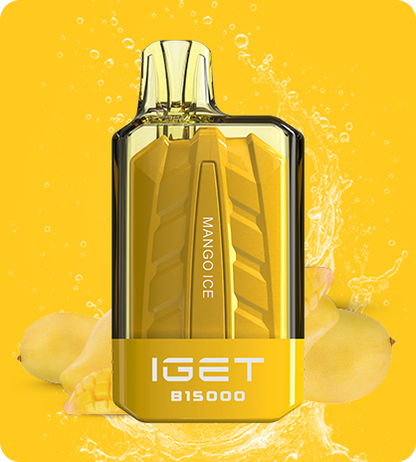 IGET POWER B15000