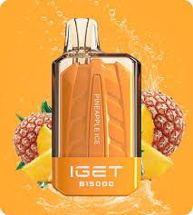 IGET POWER B15000
